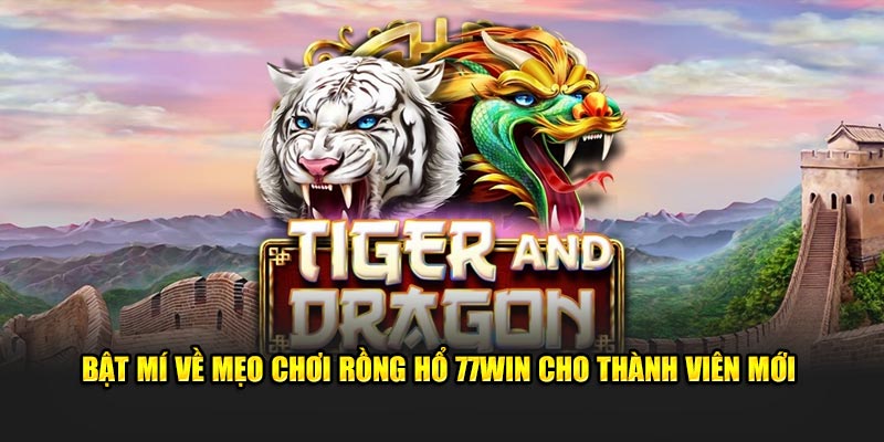 Bật Mí Về Mẹo Chơi Rồng Hổ 77Win Cho Thành Viên Mới